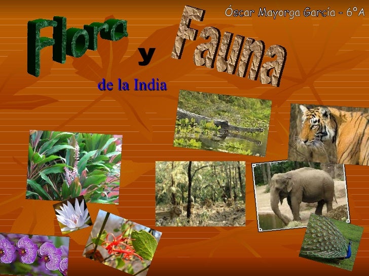 Flora y fauna de la India Óscar