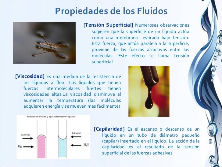 Fluidos