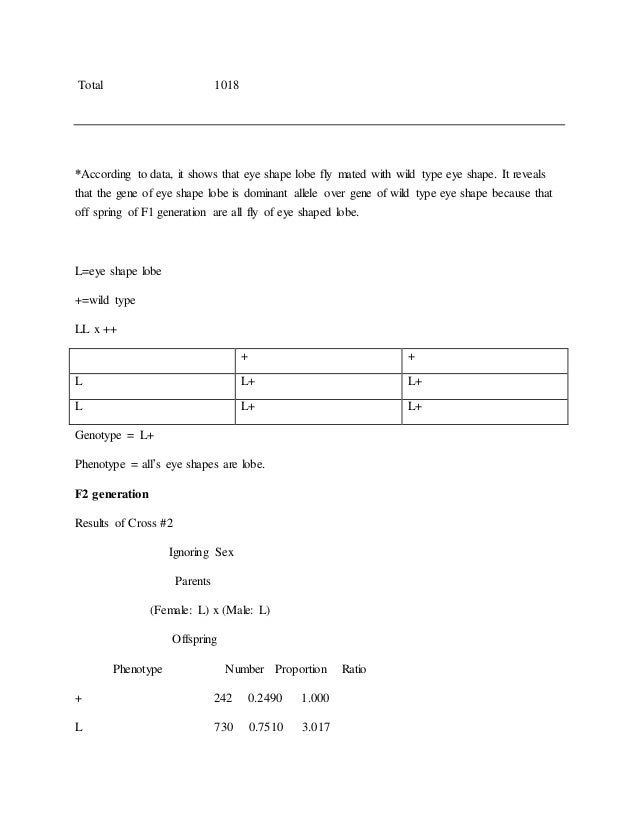 Fruit fly genetics lab report