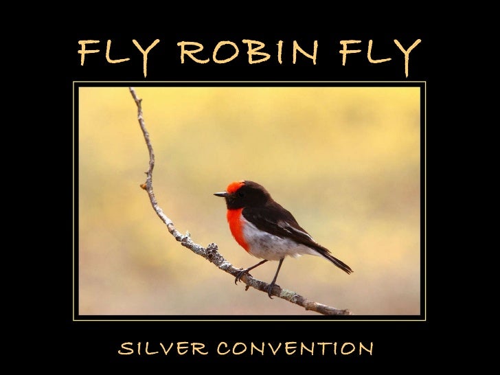 fly-robin-fly-birds-1-728.jpg