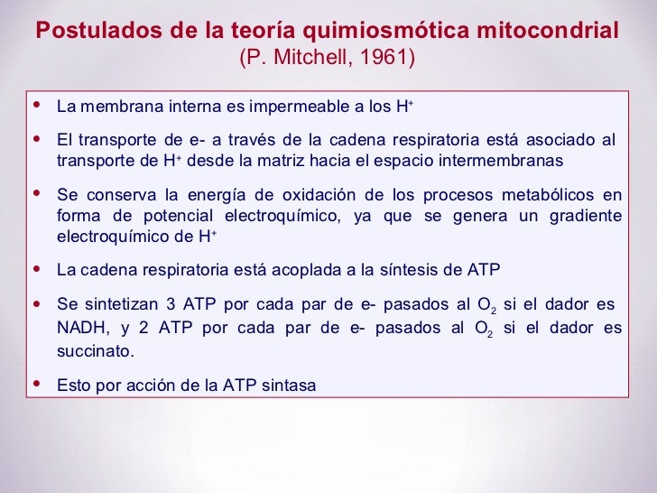 OXIDACIONES BIOLÓGICAS (Cuestionario fecha: 21-28 agosto, 2016) Fo-8-728