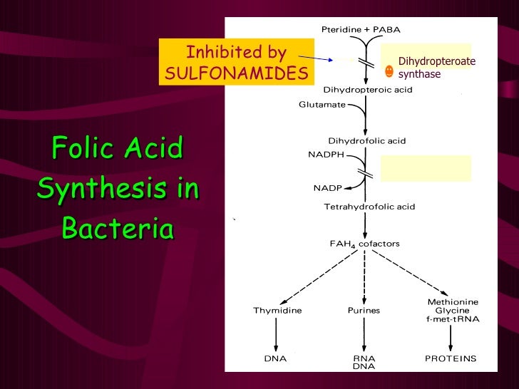 Folic Acid Synthesis Inhibitors