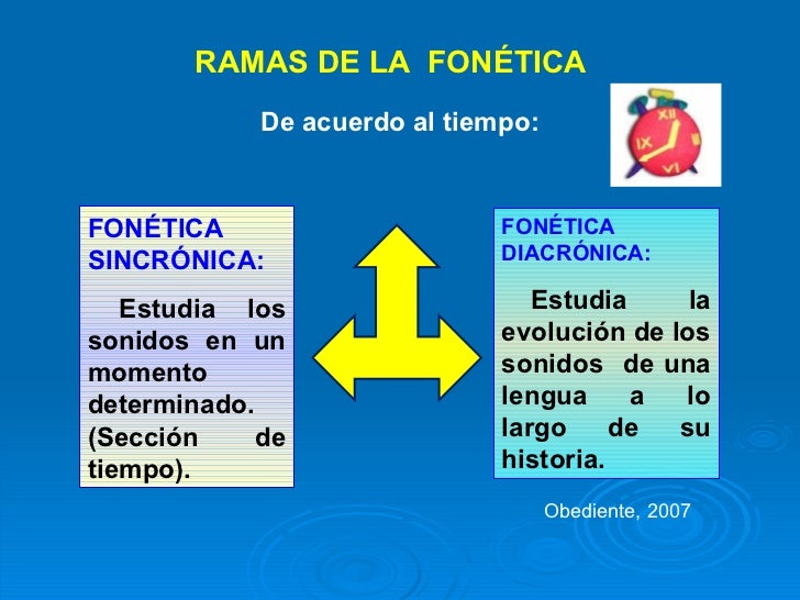 FonéTica Y FonologíA. Ramas