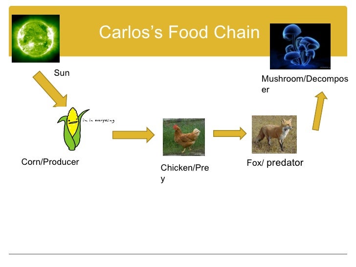 irony top food chain Home essays analysis of top of the food analysis of top of the food chain irony in top of the food chain by t coraghessan boyle 10th grade. irony top food chain Home essays analysis of top of the food analysis of top of the food chain irony in top of the food chain by t coraghessan boyle 10th grade.