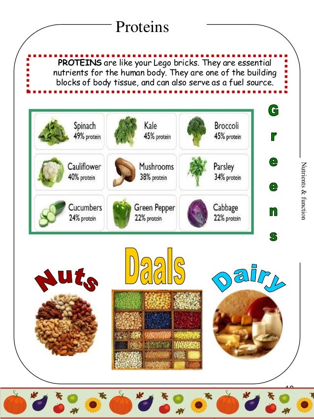 Food & Nutrition Project for 4th graders