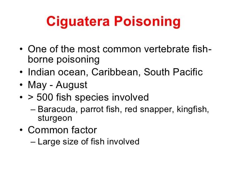 common factors contributing to food poisoning essay Nutrition ch 9 chapter 9 foods such as cream puffs are a common source of bacterial food poisoning from: factors contributing to changing food patterns of. common factors contributing to food poisoning essay Nutrition ch 9 chapter 9 foods such as cream puffs are a common source of bacterial food poisoning from: factors contributing to changing food patterns of.