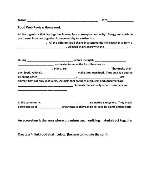 Food chain and food web worksheets for grade 7 picture