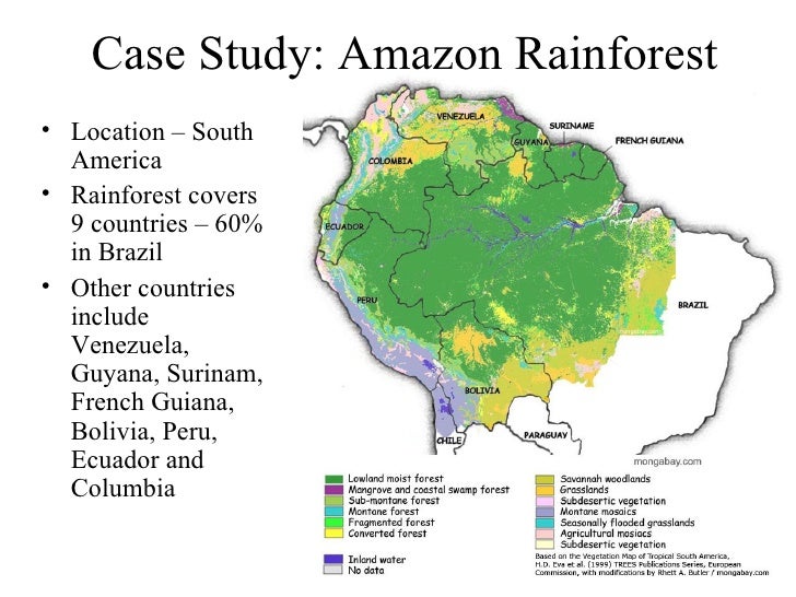 amazon rainforest case study wjec