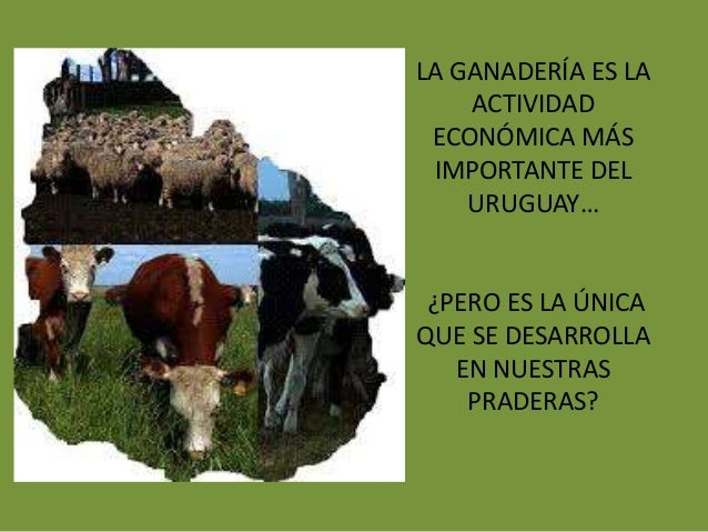 EL FENÓMENO QUE
OBSERVAMOS, SE
DENOMINA:
FORESTACIÓN
 