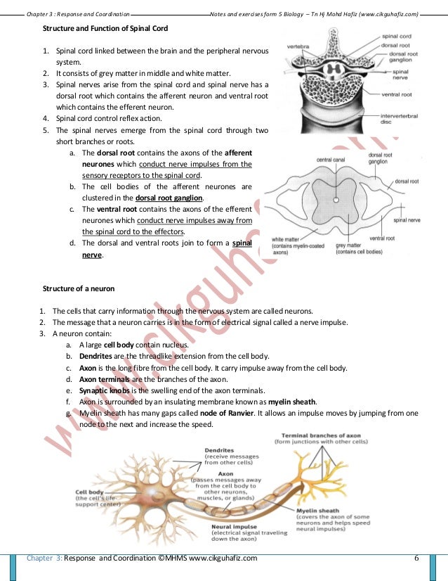 Biology Form 5 Kssm Notes / Short Note Biology Form 5Chapter 1