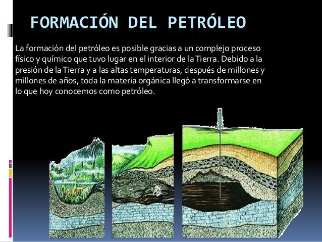 Resultado de imagen de El proceso de formación del petróleo