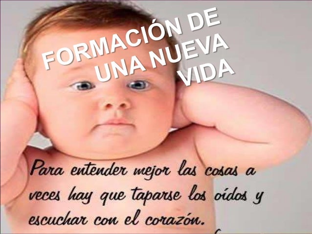 FORMACION DE UNA NUEVA VIDA formacion de una nueva vida: