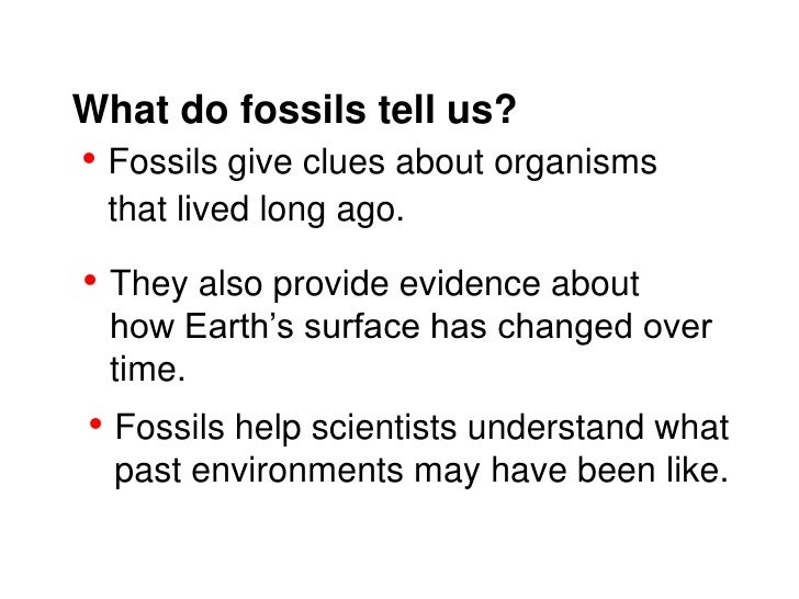 Fossils (teach)