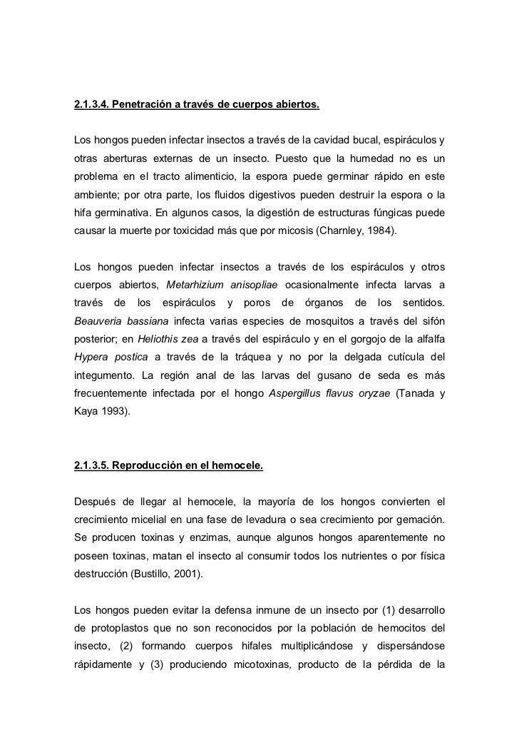 El hongo de la uña con el absceso