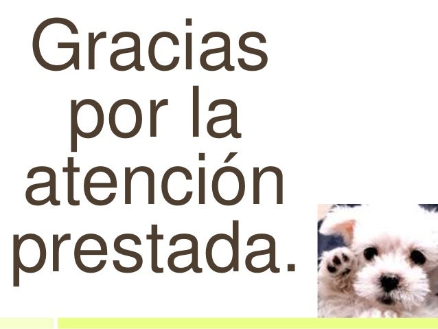 Resultado de imagen para gracias por su atencion