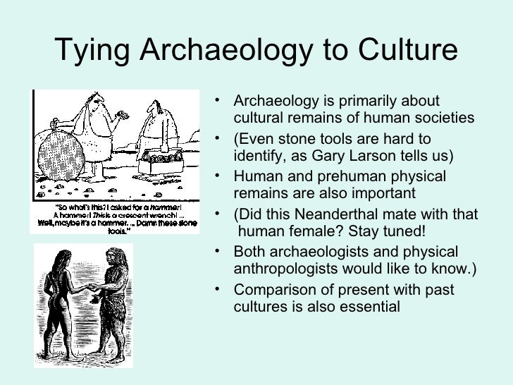 Four Fields in Anthropology