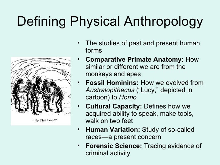 anthropology term paper topics If you can't come up with a topic for your term paper in anthropology, use our help we have got the collection of research paper subjects to choose from. anthropology term paper topics If you can't come up with a topic for your term paper in anthropology, use our help we have got the collection of research paper subjects to choose from.