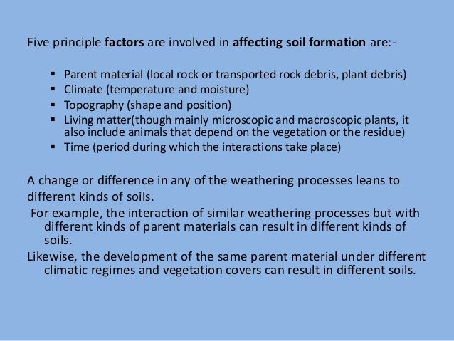 factors of soil formation factors of soil formation