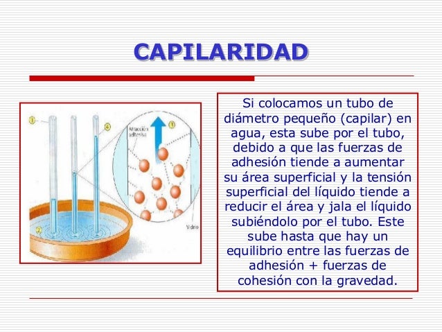 Fq liquidos-2012