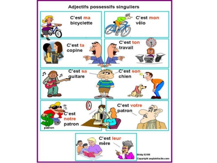Para practicar los adjetivos posesivos (1) | Fle, Apprendre le français