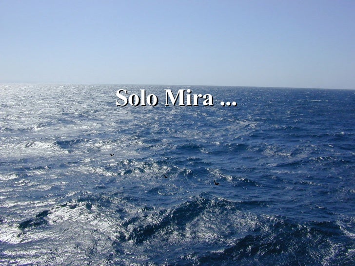 Imagenes Sabias Y Hermosas | frases y fotos hermosas Imagenes Sabias Y Hermosas | frases y fotos hermosas