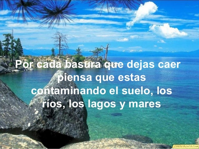 Frase de reflexion sobre el medio ambiente - Imagui Frase de reflexion sobre el medio ambiente - Imagui