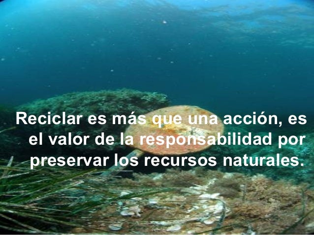 Frases ecologicas cortas - Imagui Frases ecologicas cortas - Imagui