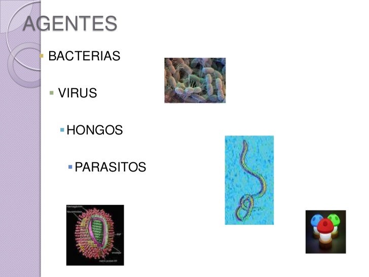 El hongo en los pies la medicina