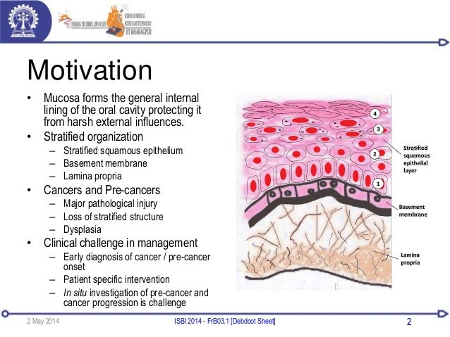 thesis on cancer hospital thesis on cancer hospital