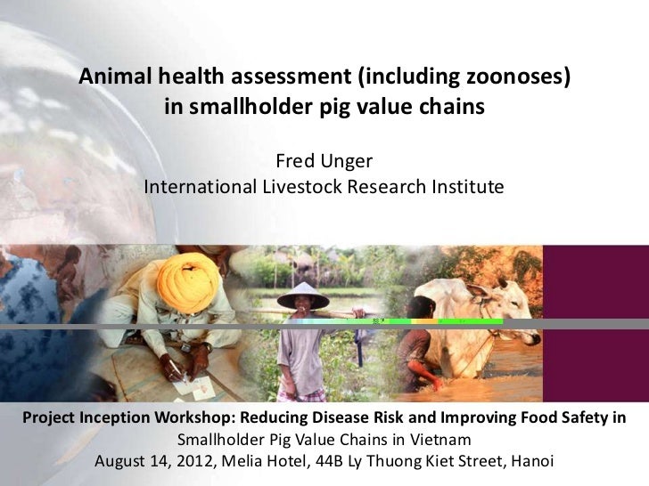 Animal health assessment (including zoonoses) in smallholder pig value
