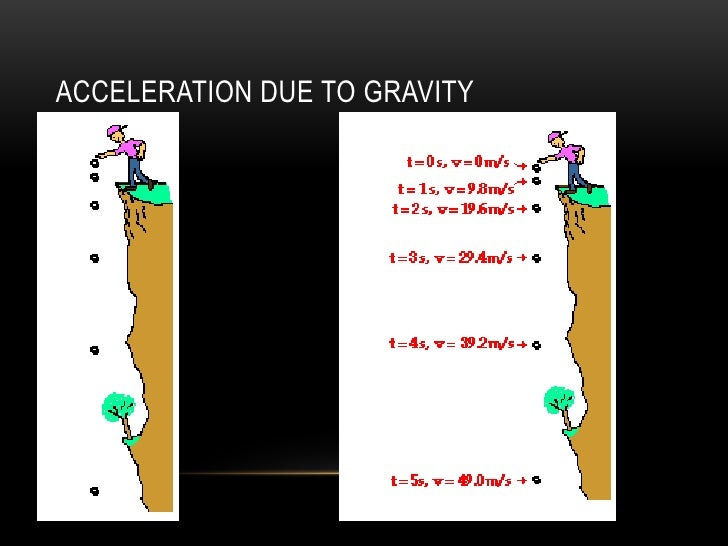 acceleration due to gravity essay Accurate measurements show that the acceleration due to gravity = 98m/s� for simple calculations we usually 10 m/s� this means that for an object falling with no air resistance, the velocity after 1 second is 10 m/s, and after 2 seconds the velocity is 20 m/s, and so on. acceleration due to gravity essay Accurate measurements show that the acceleration due to gravity = 98m/s� for simple calculations we usually 10 m/s� this means that for an object falling with no air resistance, the velocity after 1 second is 10 m/s, and after 2 seconds the velocity is 20 m/s, and so on.
