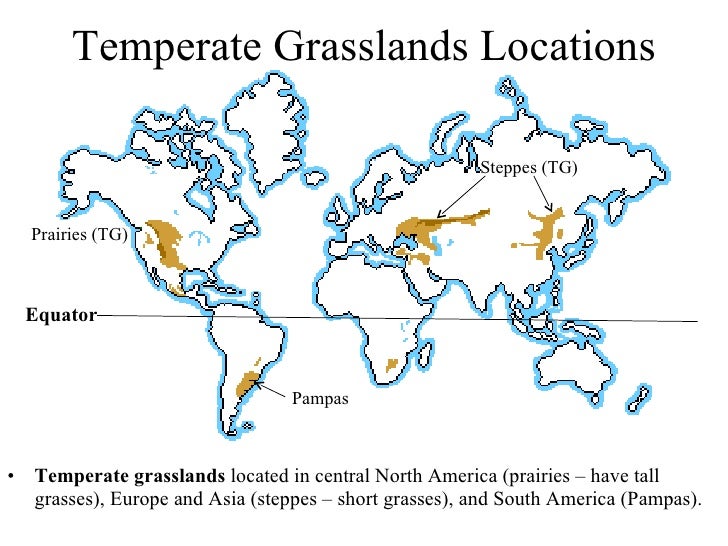 Temperate grassland geographic features