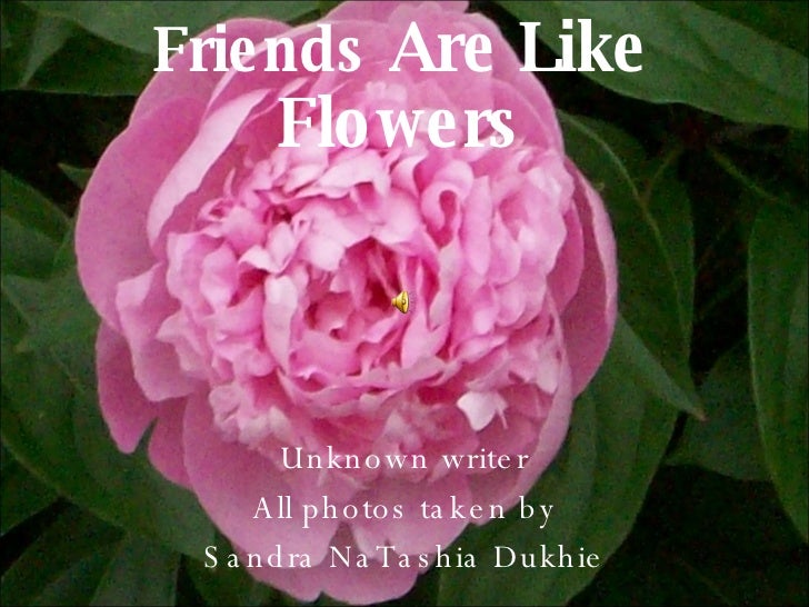 Friends are Like Flowers