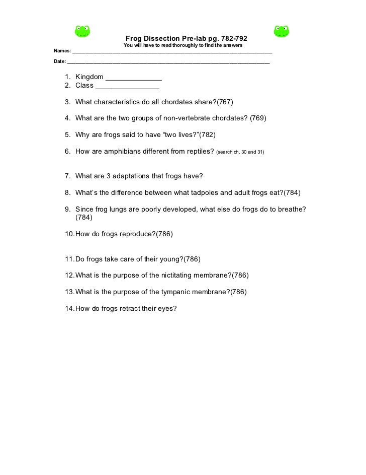 Worksheet Frog Dissection Lab Worksheet animal worksheet new 420 dissection worksheet