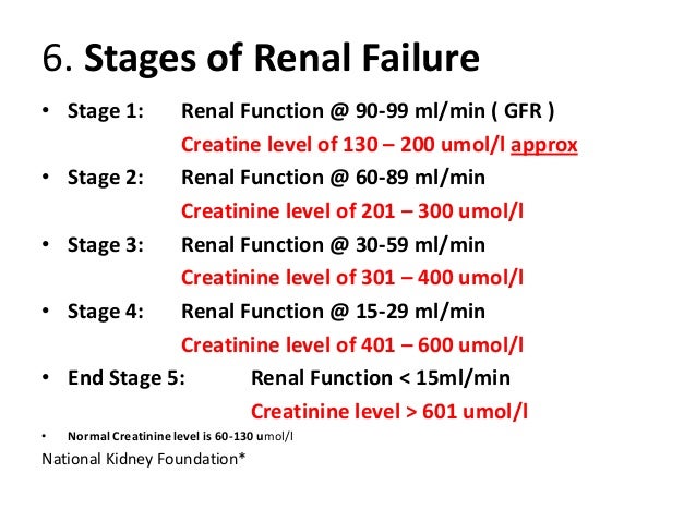 dialysis facility disaster plan template dialysis health facility inc places