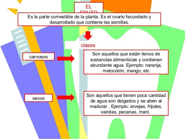 Ainara en clases de anatomia 5