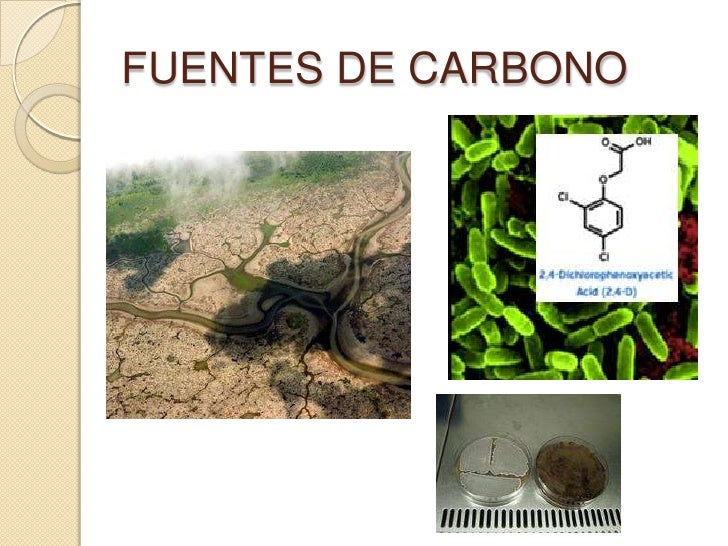 Fuentes de carbono y de energía