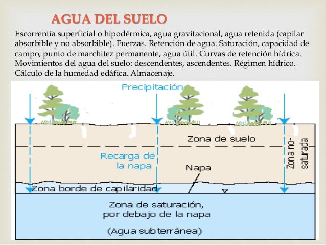 Fuerzas de retencion del agua