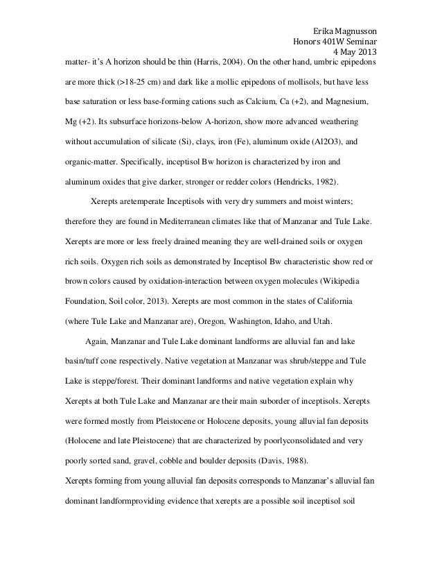 Japanese internment camps essay