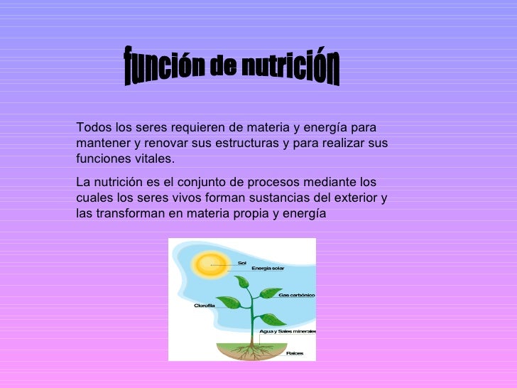 FUNCION DE LAS funcion de las:
