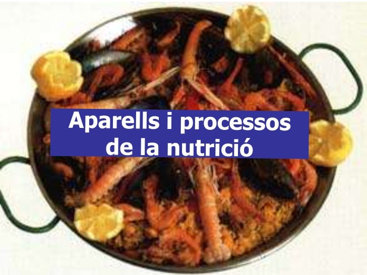 La nutricióConjunt de processos pels quals el organisme aconsegueix lessubstàncies i l’energia que necessiten per viure.Le...