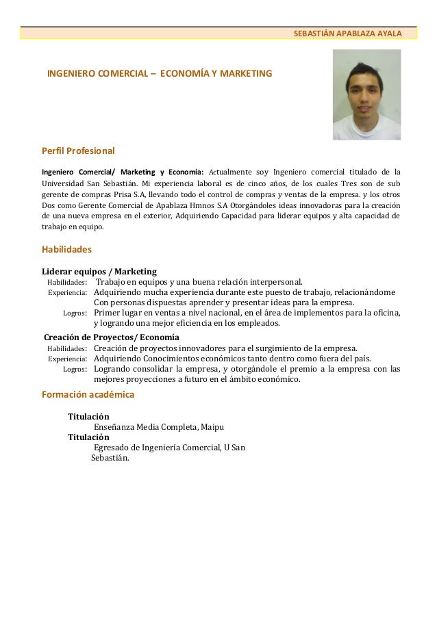 Pilot cv template word picture