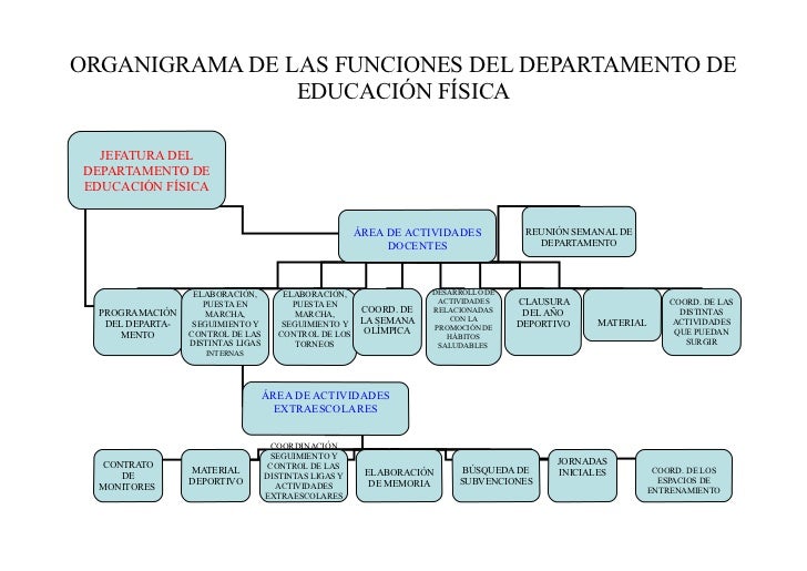 DEPARTAMENTO EDUCACION FISICA departamento educacion fisica: