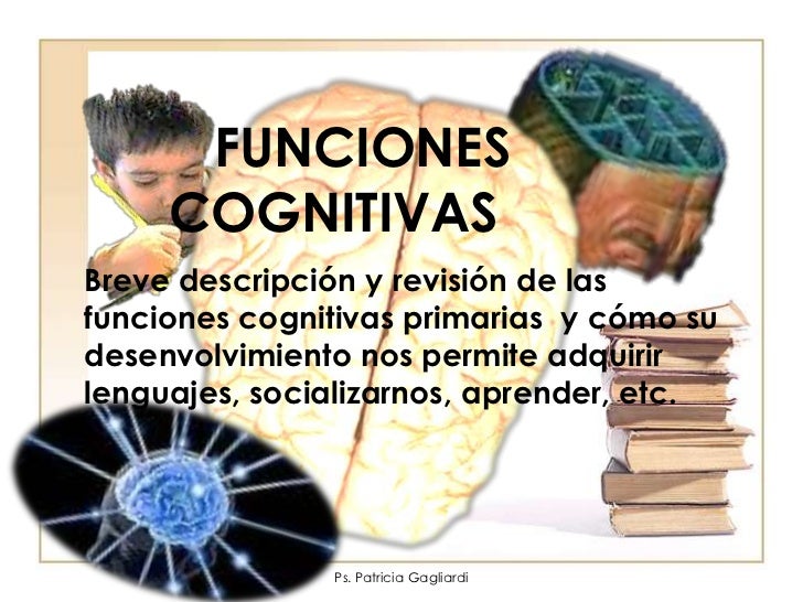 Bases neurobiolgicas de la memoria y amnesias Neuroa