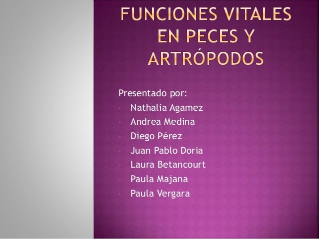 FUNCIONES DE LOS PECES funciones de los peces: