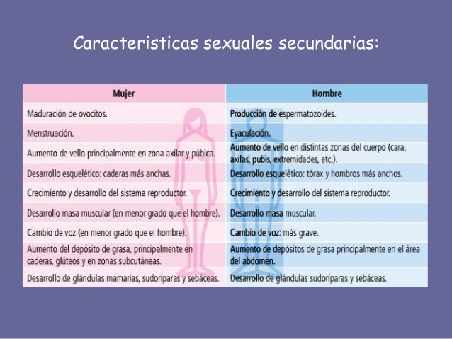 Glandulas, hormonas y sexualidad.