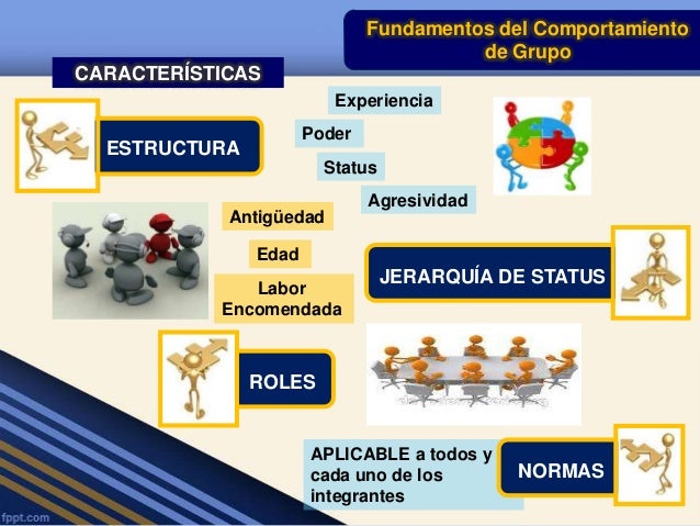 Fundamentos del comportamiento en grupo