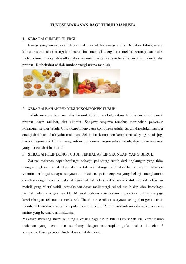 fungsi makanan bagi tubuh manusia fungsi makanan bagi tubuh manusia