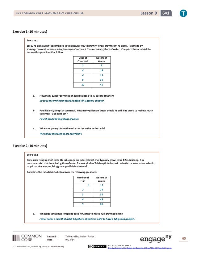 nys common core mathematics curriculum lesson 2 homework 5.1