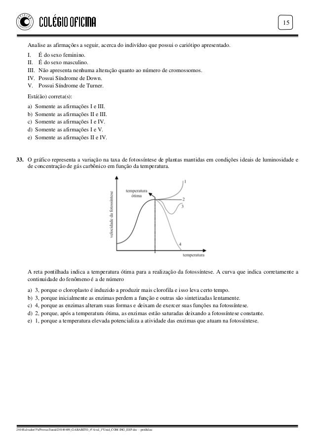 Eixo balanceador de carga seso